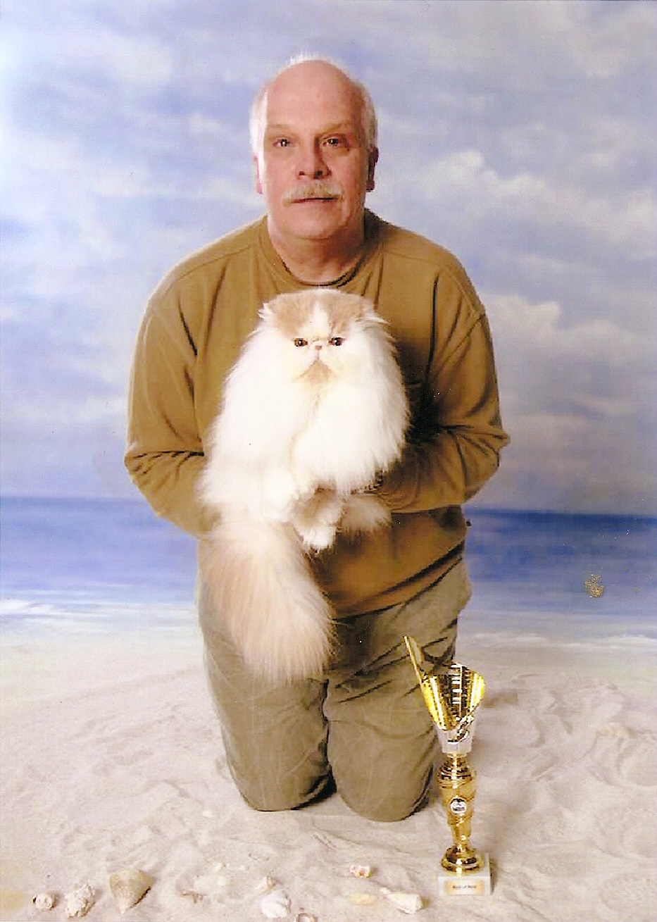 Perser Katzen Züchter